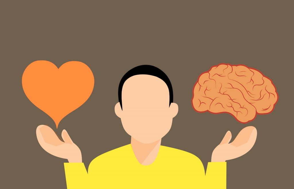 Persona con corazón y cerebro en las manos; el mayor dilema al tomar decisiones.