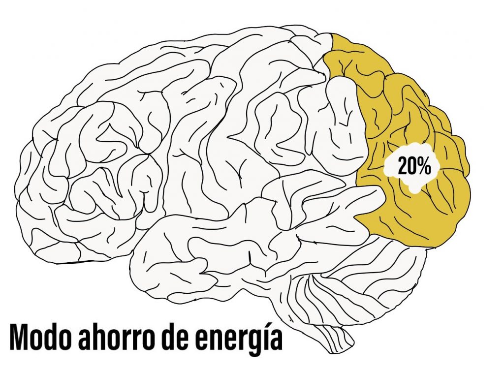 Cerebro en ahorro de energía por la fatiga de decisiones.